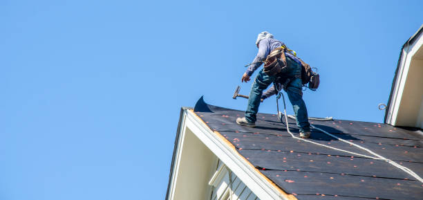 Best Local Roofing Companies  in Versailles, PA